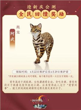 天龙八部私服带假人